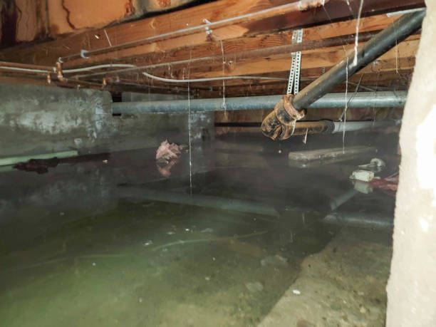 Best Water damage restoration near me  in University Center, VA