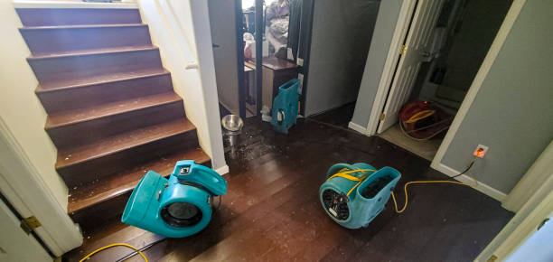 Professional Water damage restoration in University Center, VA