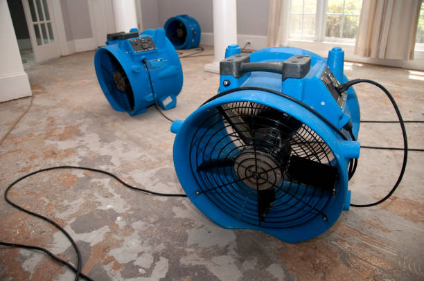 Best Local water damage restoration  in University Center, VA