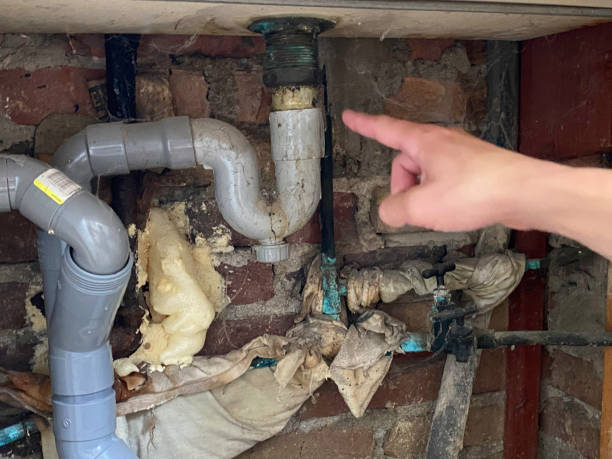 Best Water damage restoration specialists  in University Center, VA