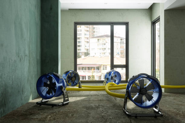 Best Water damage cleanup near me  in University Center, VA